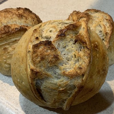 Roasted Garlic and Herb Sourdough Small Loaf