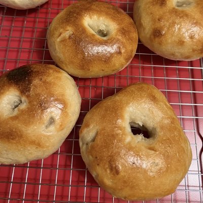 Plain Sourdough Bagels