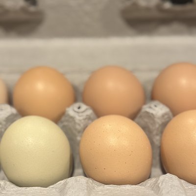 Fresh Farm Eggs - One Dozen