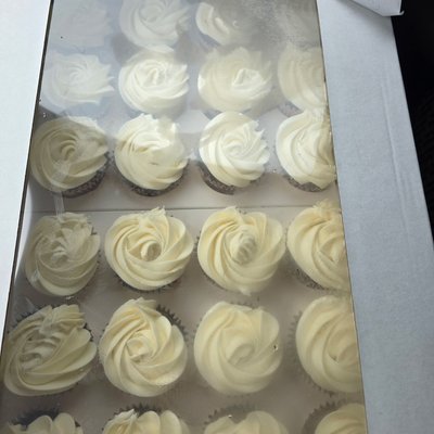 24 count cupcake
