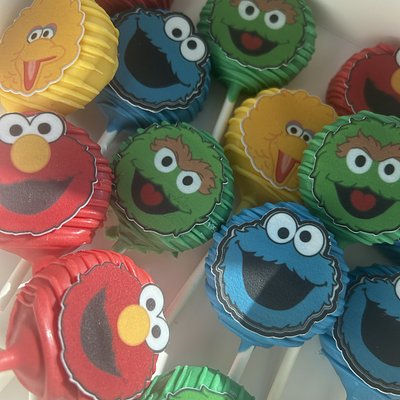 cake pop pucks(12)