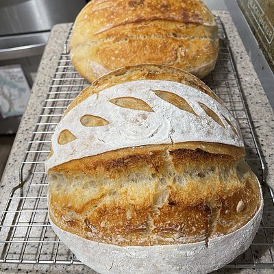 Plain Artisan sourdough loaf