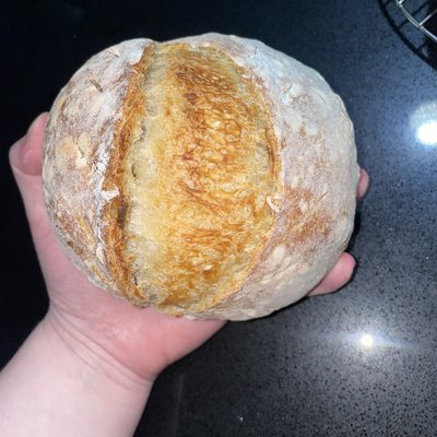 Mini Sourdough Loaf