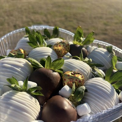 12ct Regular Dipped Berries