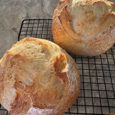 Half Loaf | Classic (Plain) 
