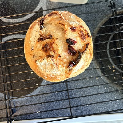 Cranberry White Chocolate Sourdough Loaf 