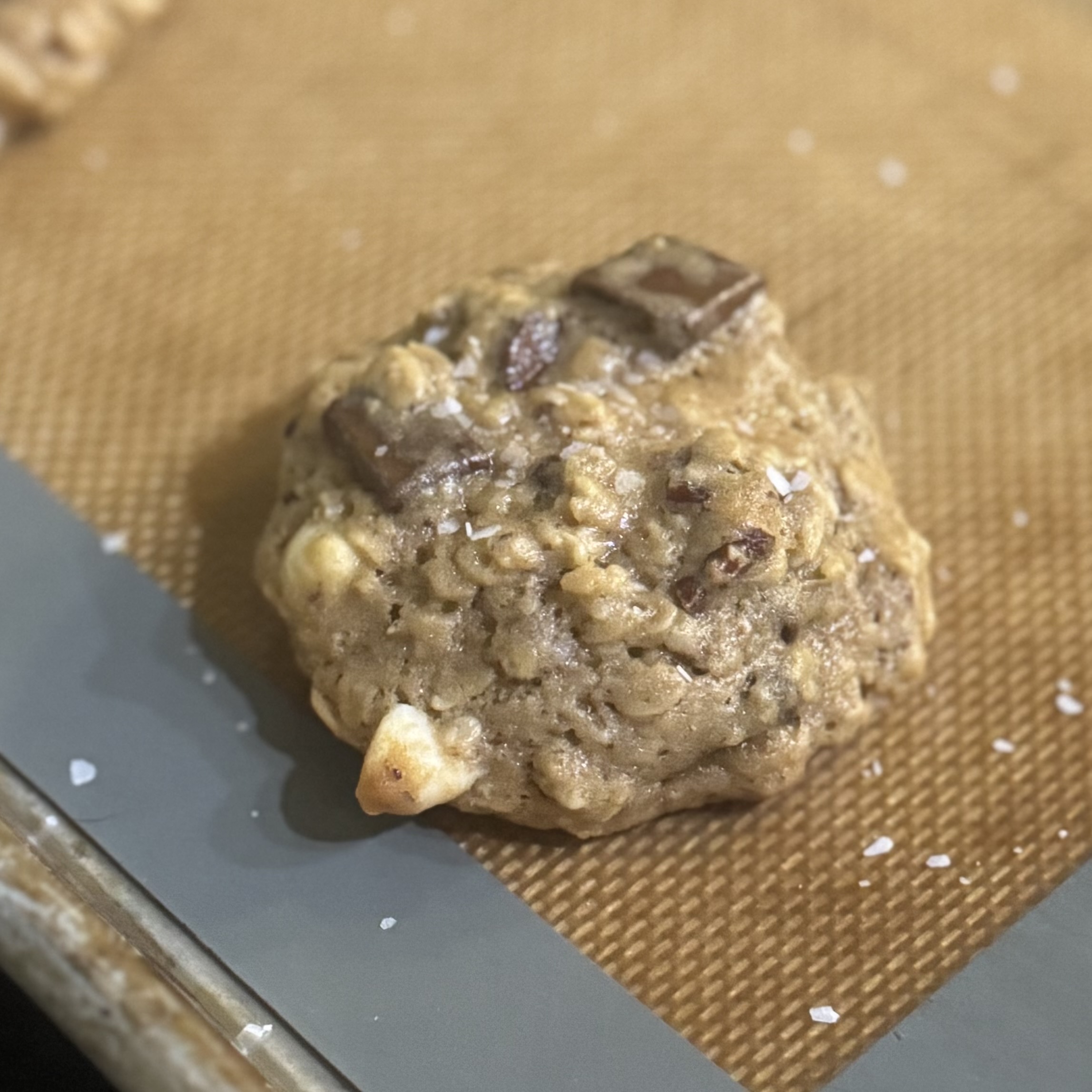 Sourdough Oatmeal Chocolate Chip Cookies w/pecans (Dozen)