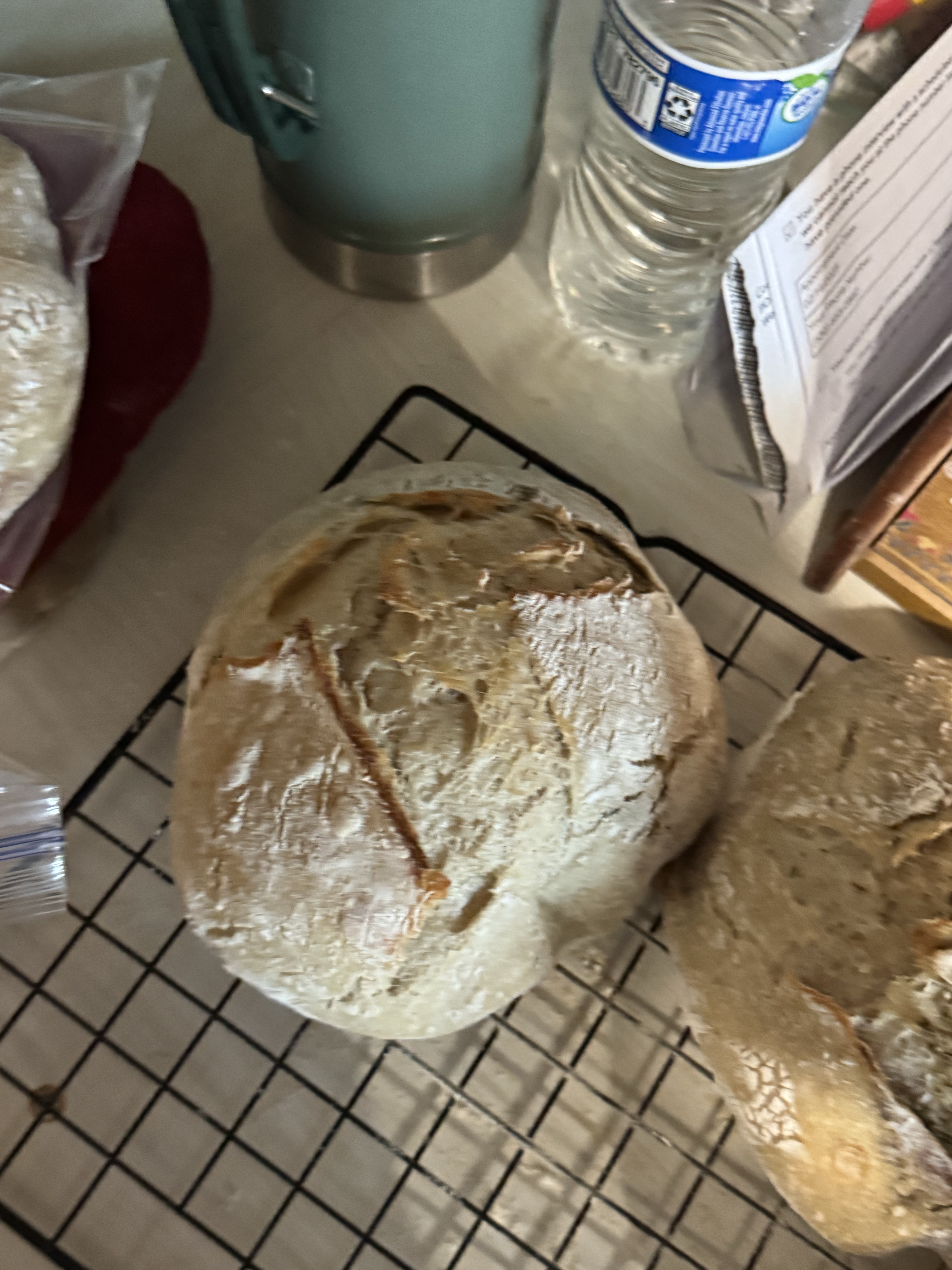 Mini Sourdough 