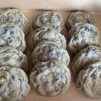 Classic Chocolate Chip (6)