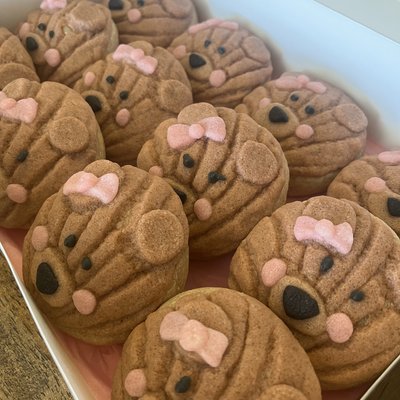 Teddy Bear Concha bites