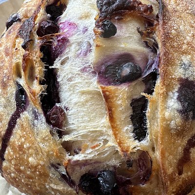 Blueberry & Cheddar bule (round) 