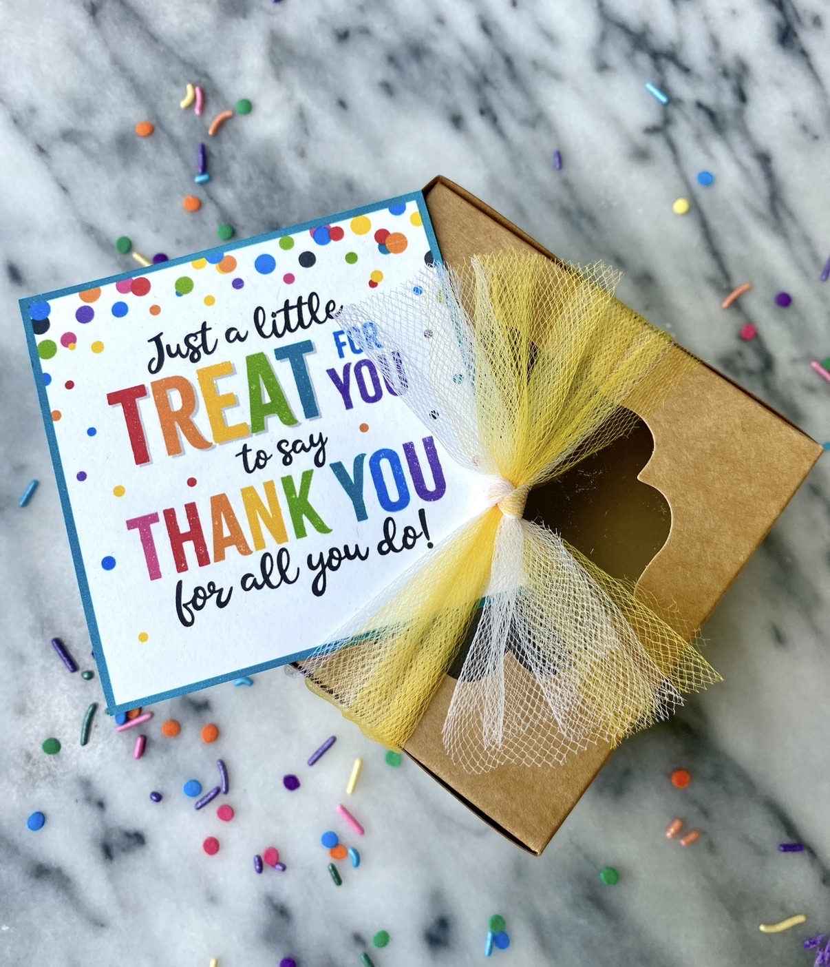 Chocolate Chip Cookie Gift Box 