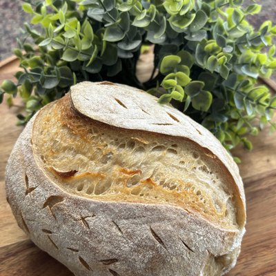 Sourdough Loaf (1)