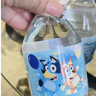 Themed Mini Water Bottles ✨