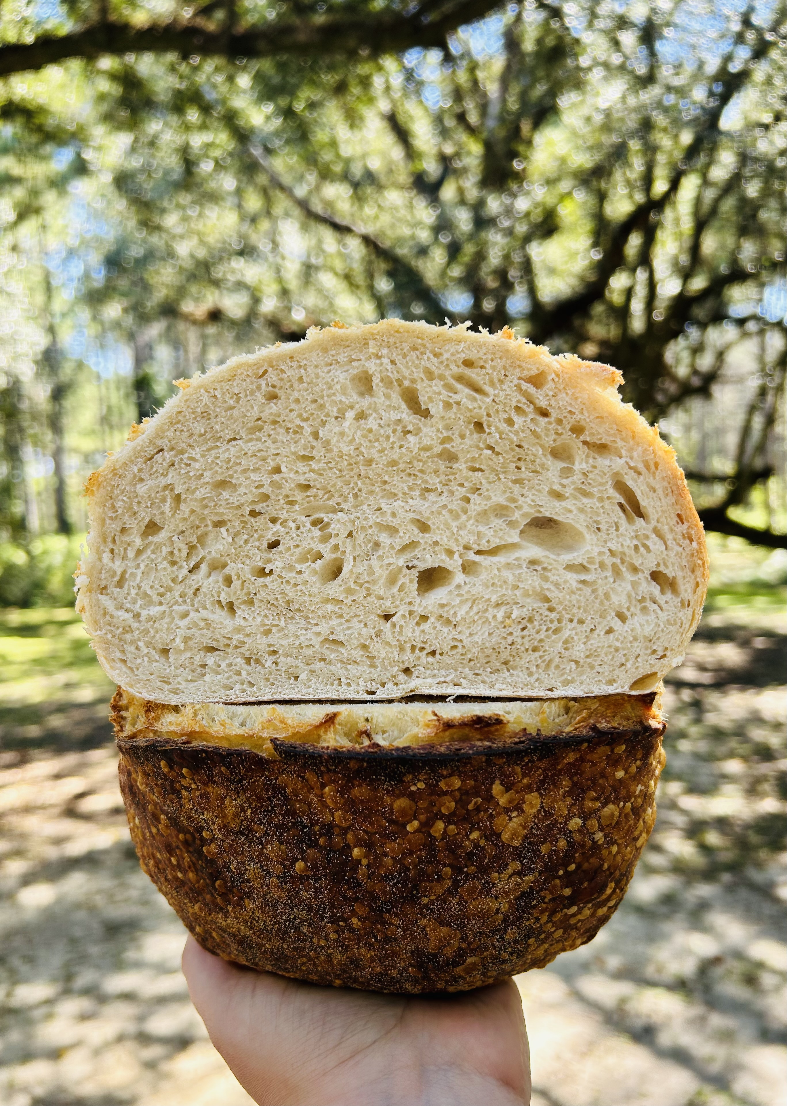 Classic Sourdough Bread