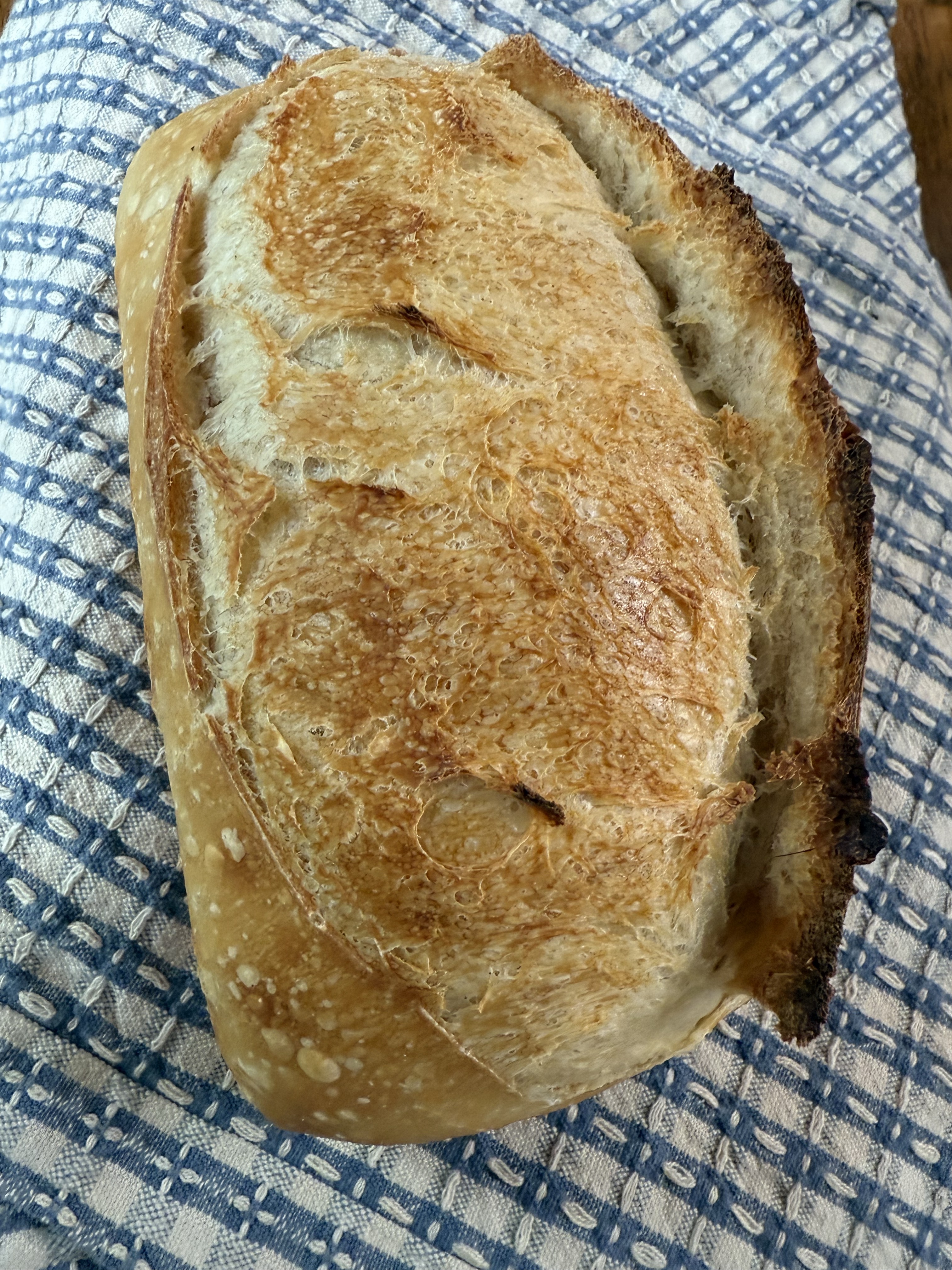 Sourdough Bread