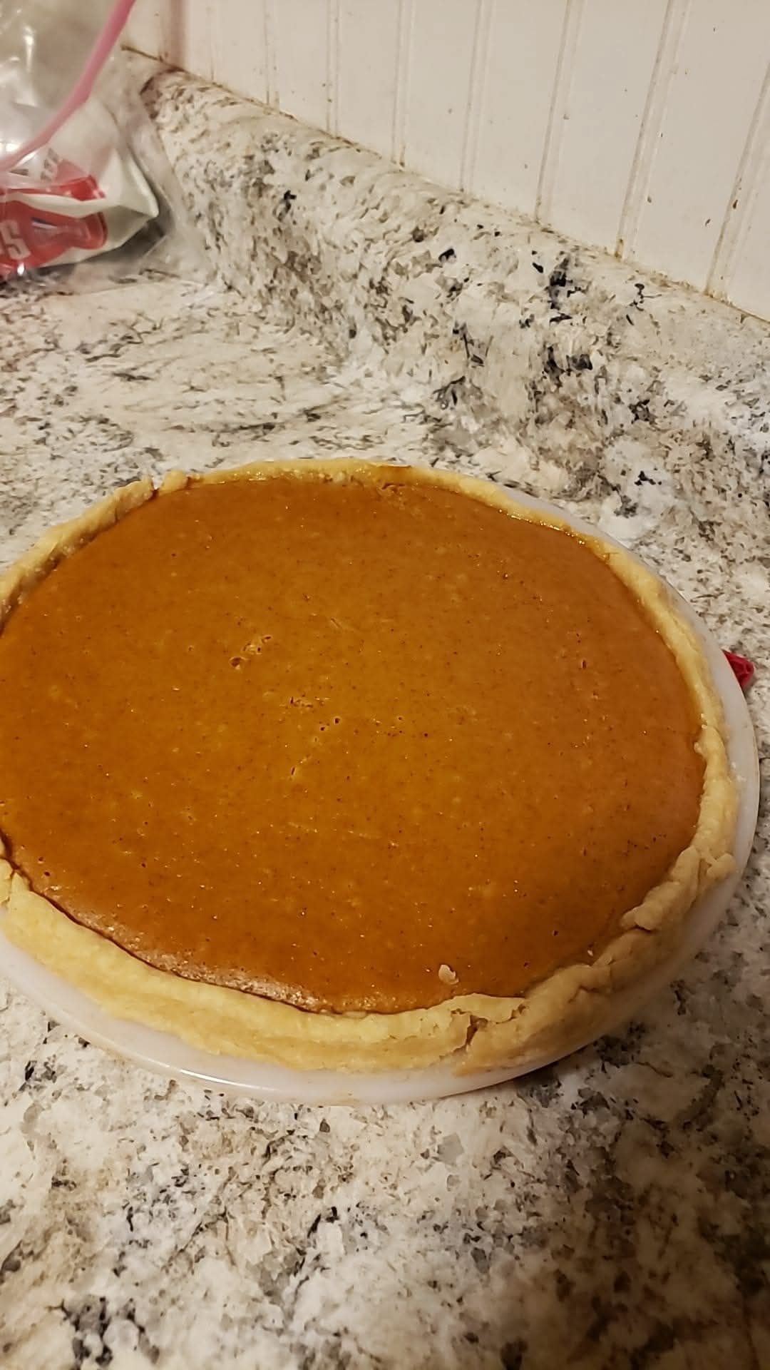 Pumpkin Pie 9 Inch