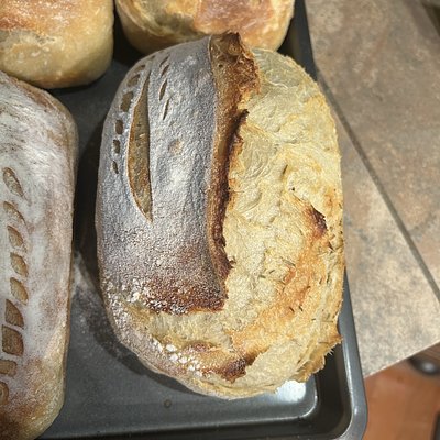 Rosemary Garlic Sourdough Loaf