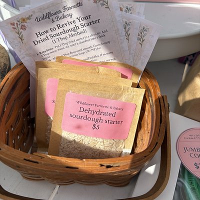 Dehydrated Sourdough Starter Dehydrated Sourdough Starter