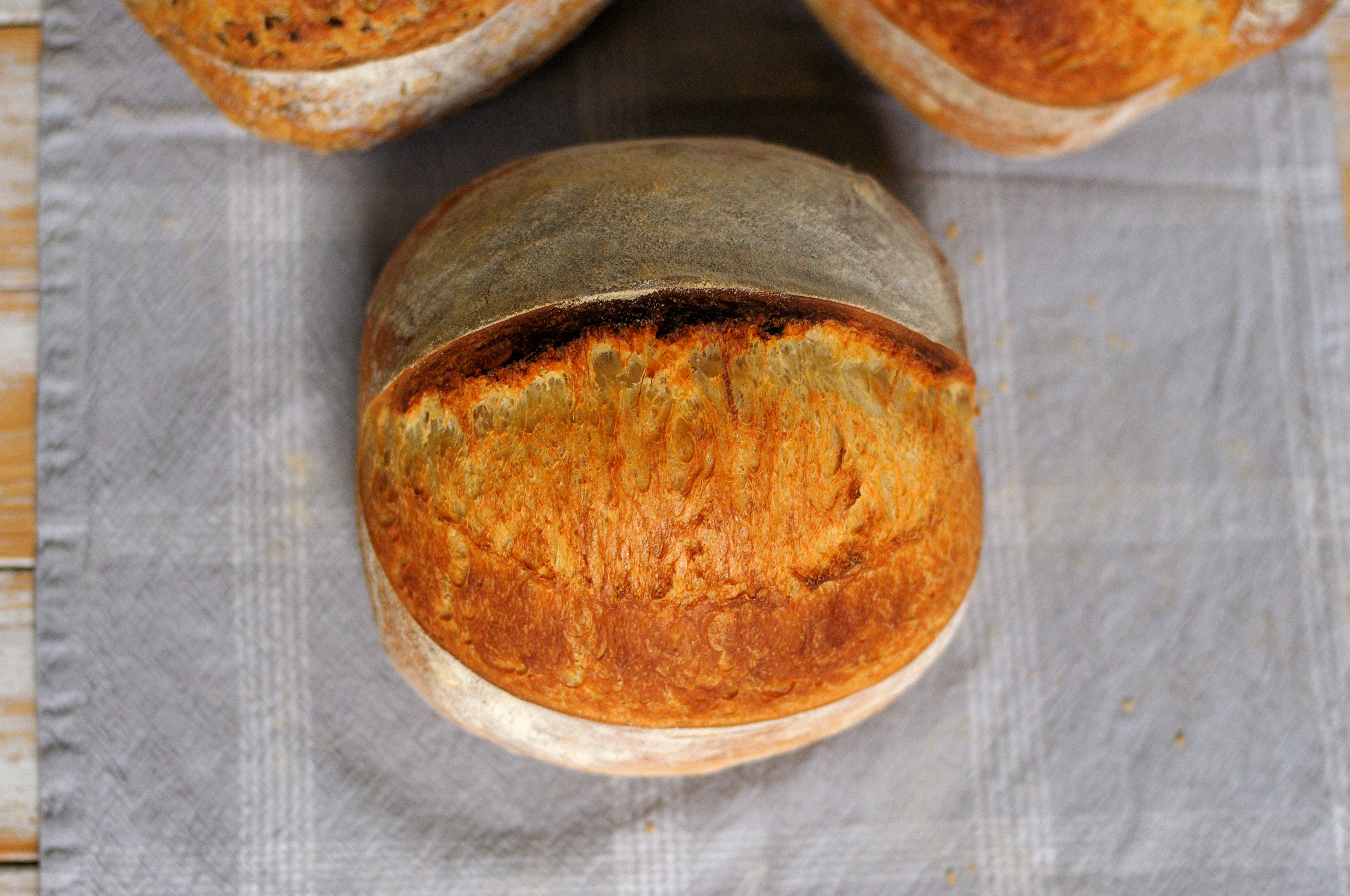 One Flavor Savory Sourdough Loaf