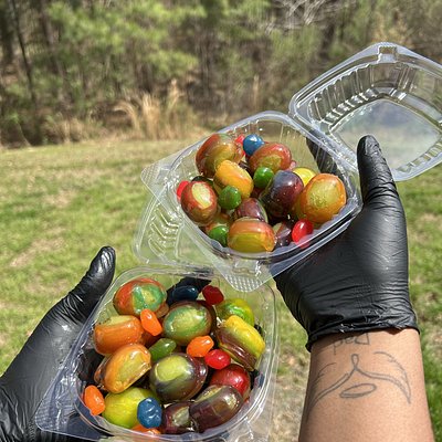 Candied Grapes (Small) 