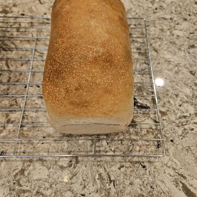Sandwich Loaf