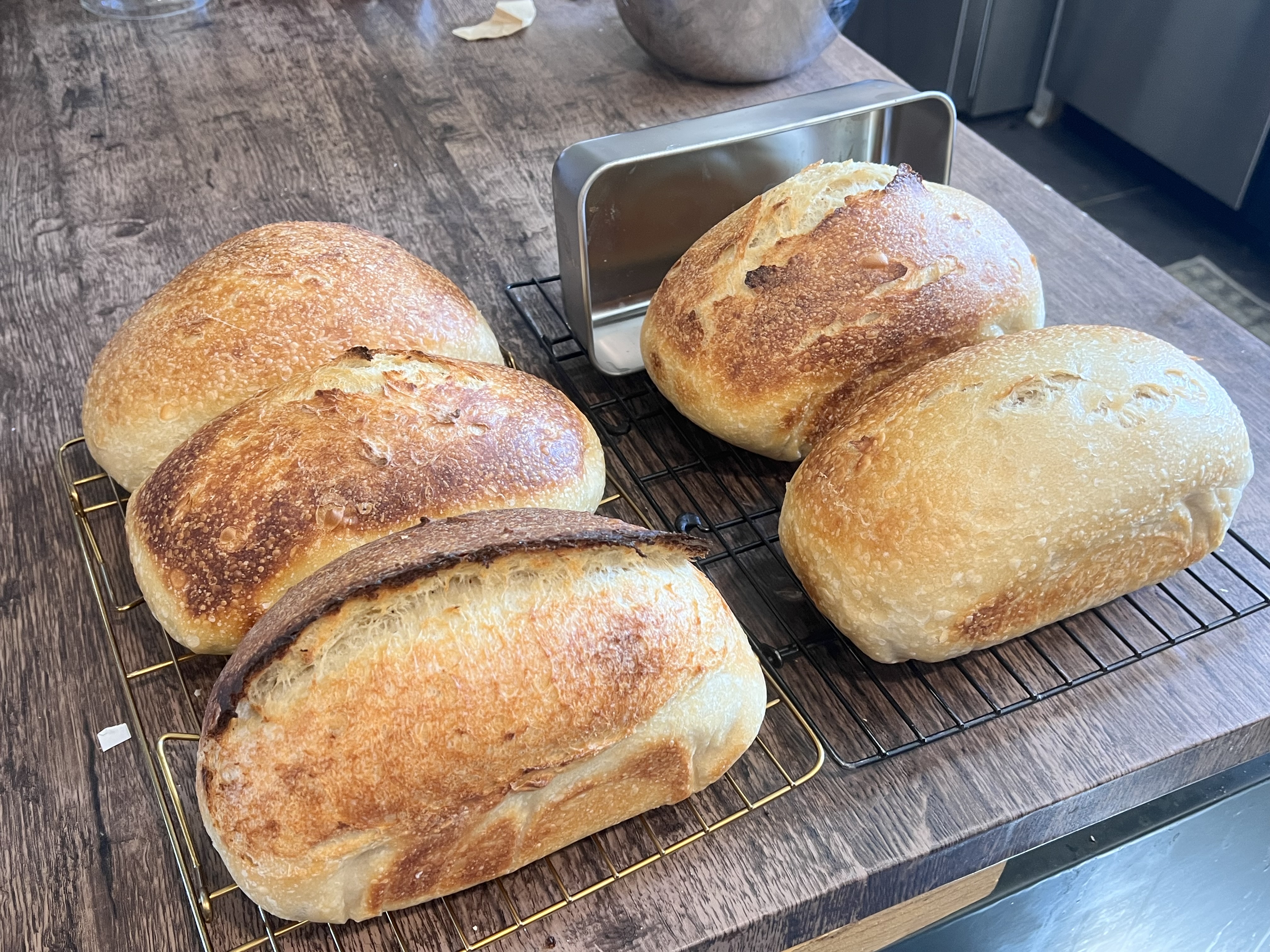 Sourdough Rustic Loaf 