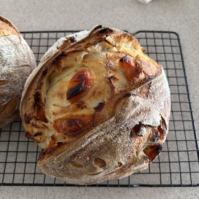 Dried Apricot Sourdough