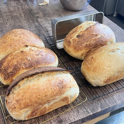 Sourdough Rustic Loaf 