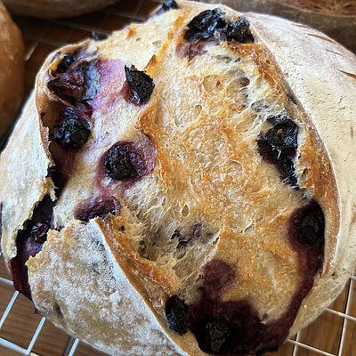 Lemon Blueberry