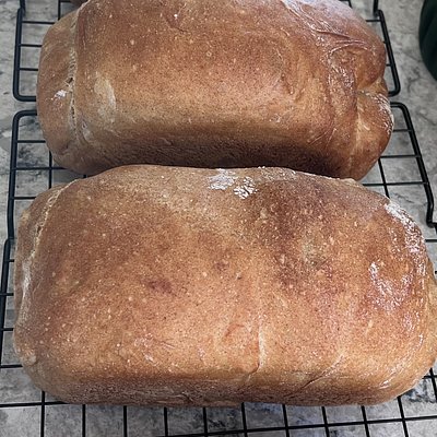 Whole Wheat Sandwich Loaf