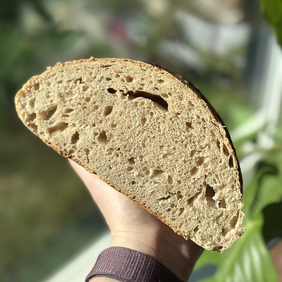 Sourdough