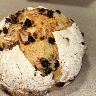 Chocolate Chip Sourdough Artisan Loaf