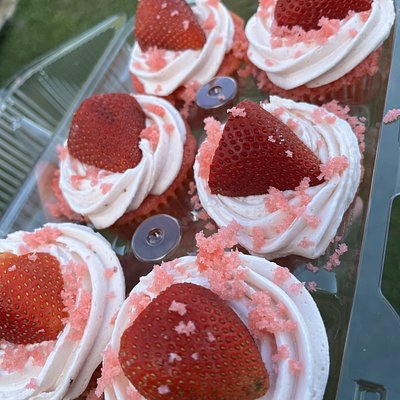 Cupcakes(dozen)