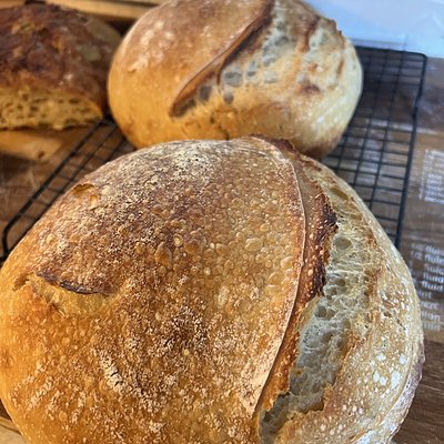 Plain Sourdough 