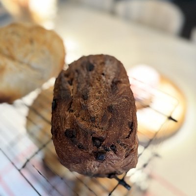 Double Chocolate Sourdough 