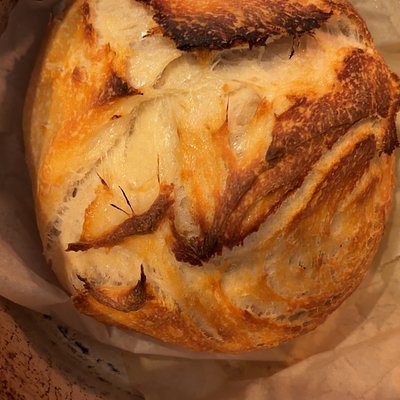 Plain Sourdough Loaf