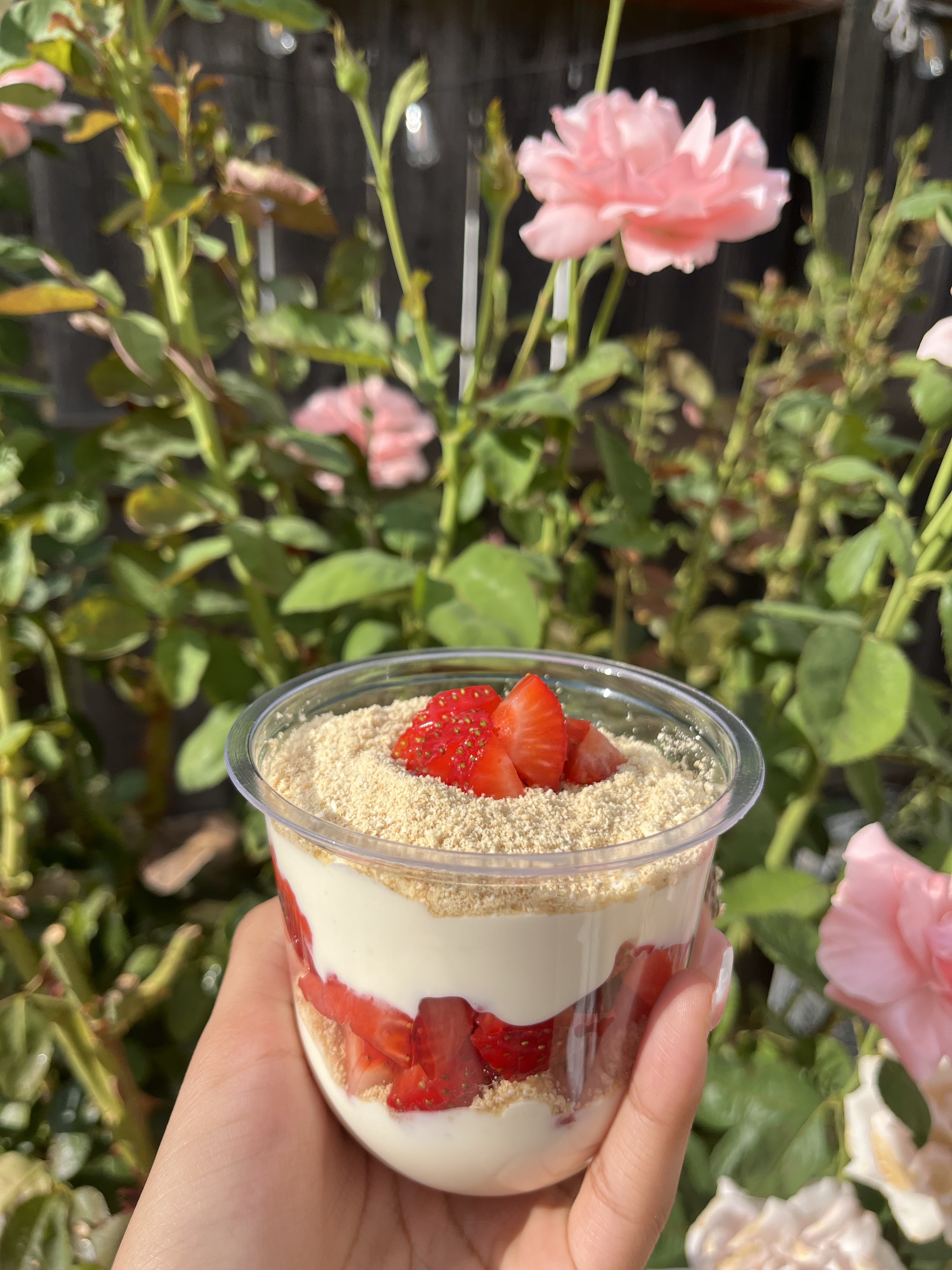 Protein Cheesecake Cups💪