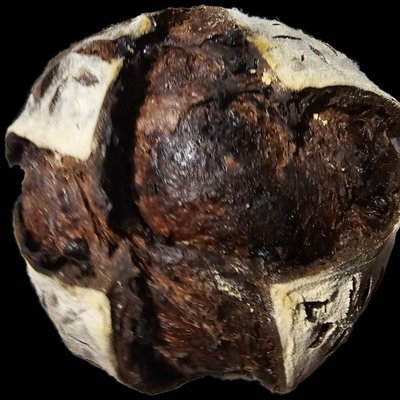 Mini Double Chocolate Sourdough Boule (Round)