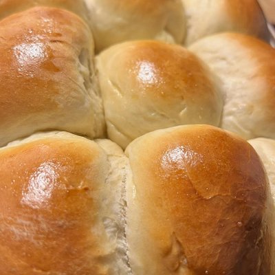 Dinner Rolls