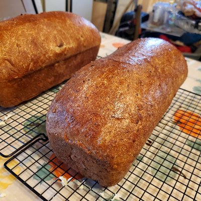 Sourdough Sandwich Half Loaf (Wheat)(~5"x7")