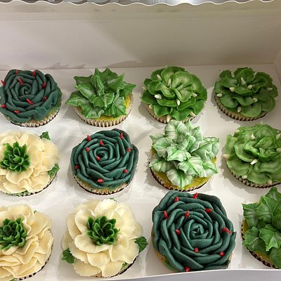 Succulents Box Of 12 