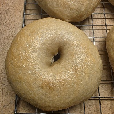 Plain Sourdough Bagels (4 Count)