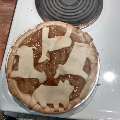 Pies