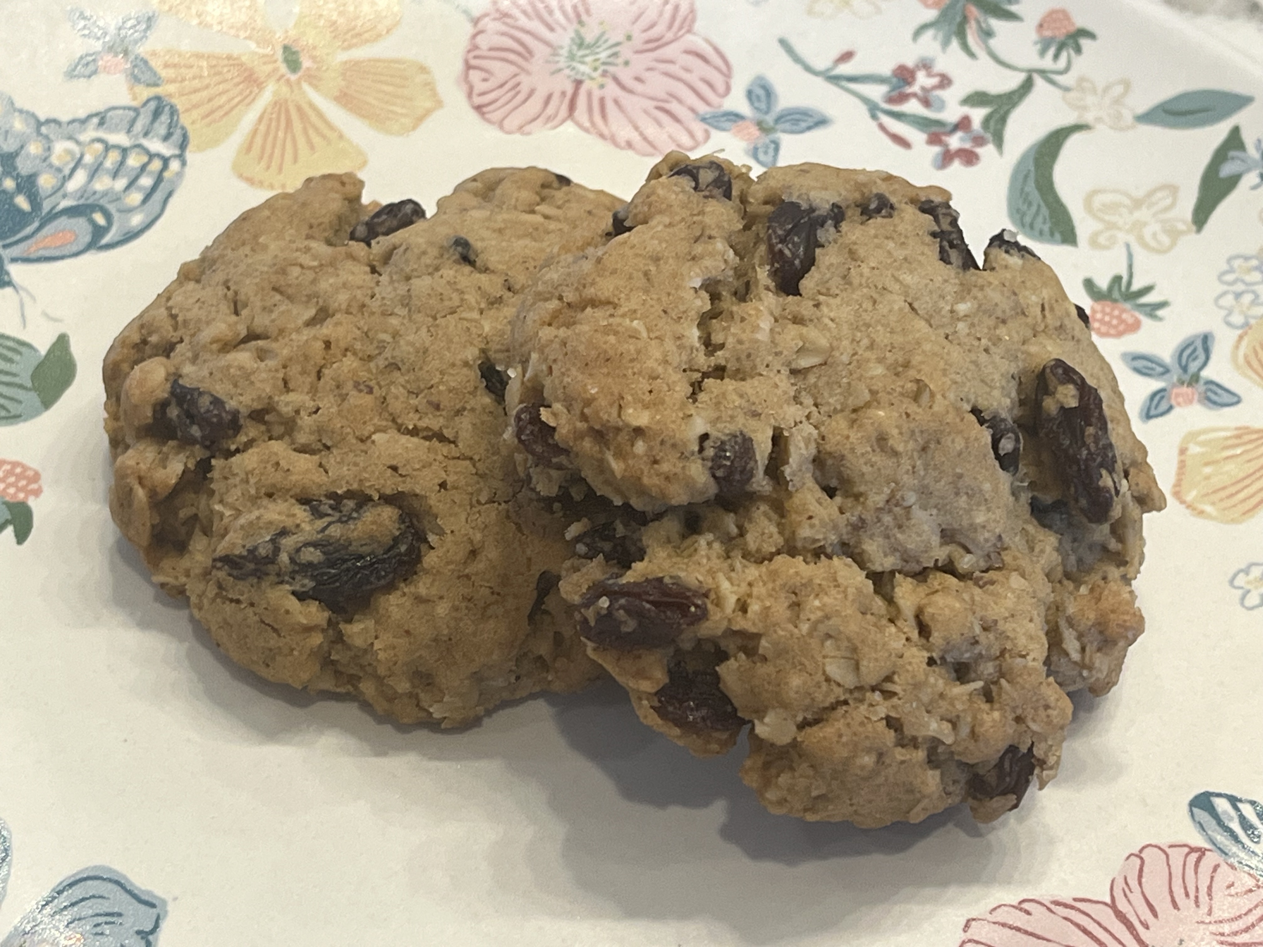 Vegan Oatmeal Raisin Cookie