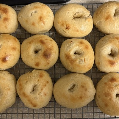 Plain Sourdough Bagels (6 Pk)