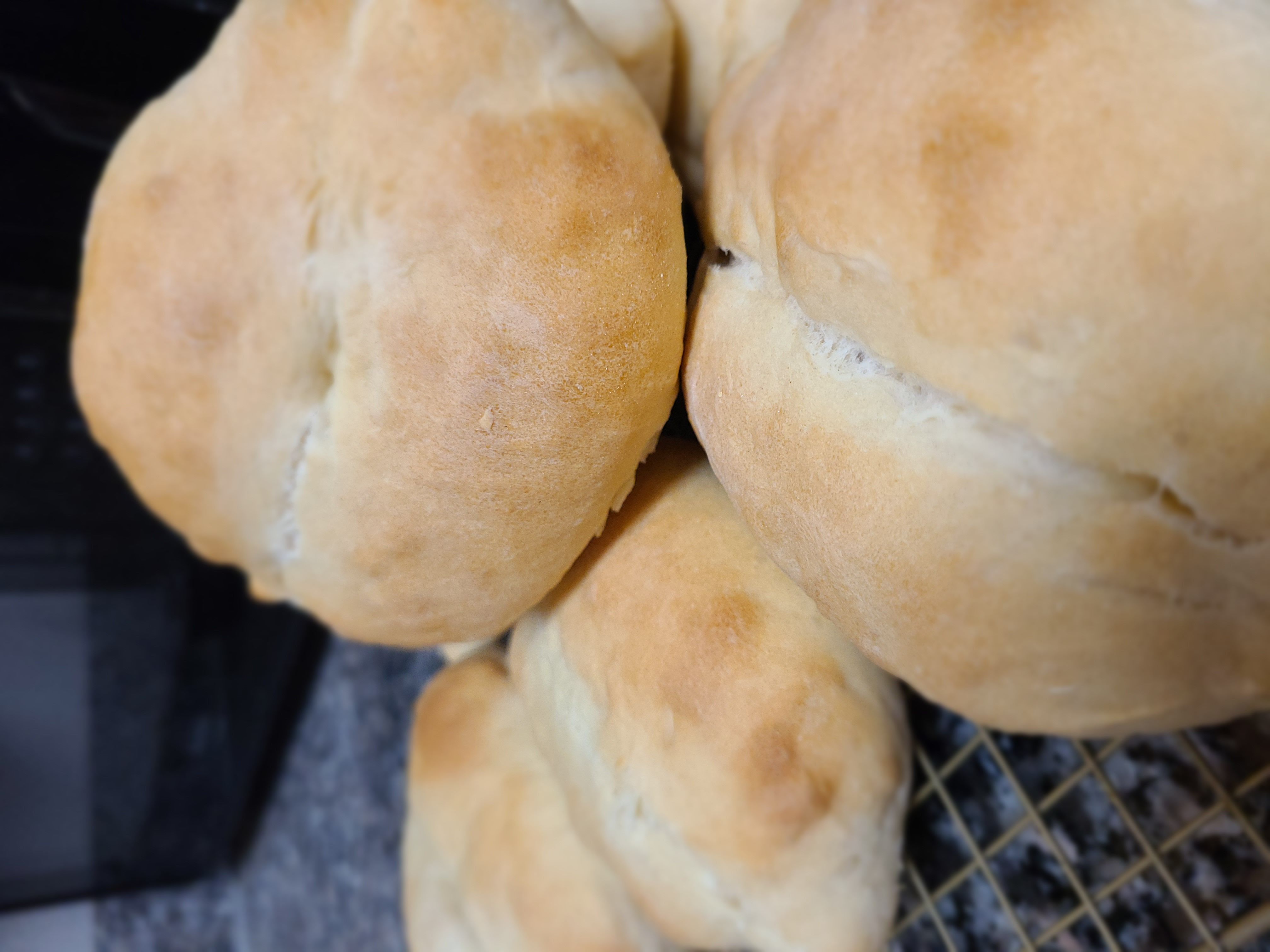 Papo Secos (Portuguese Sandwich Roll-dozen)