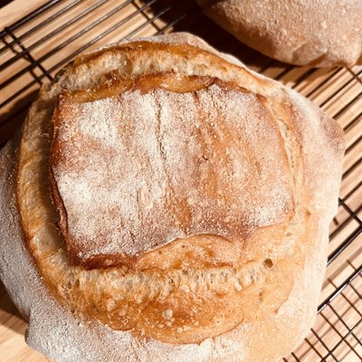 Artisan Sourdough -(flavor Sourdough -Style Rustic Country Loaf Min Order 2 (23.99 Each)=$47.98 White)