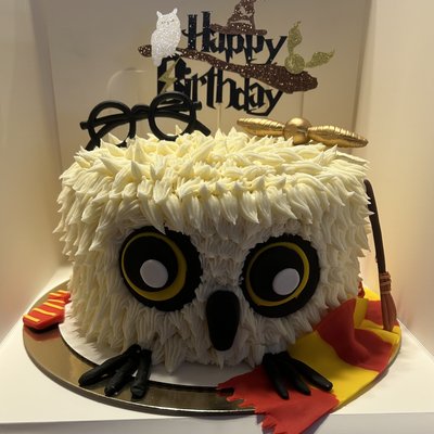 Harry Potter Cake 