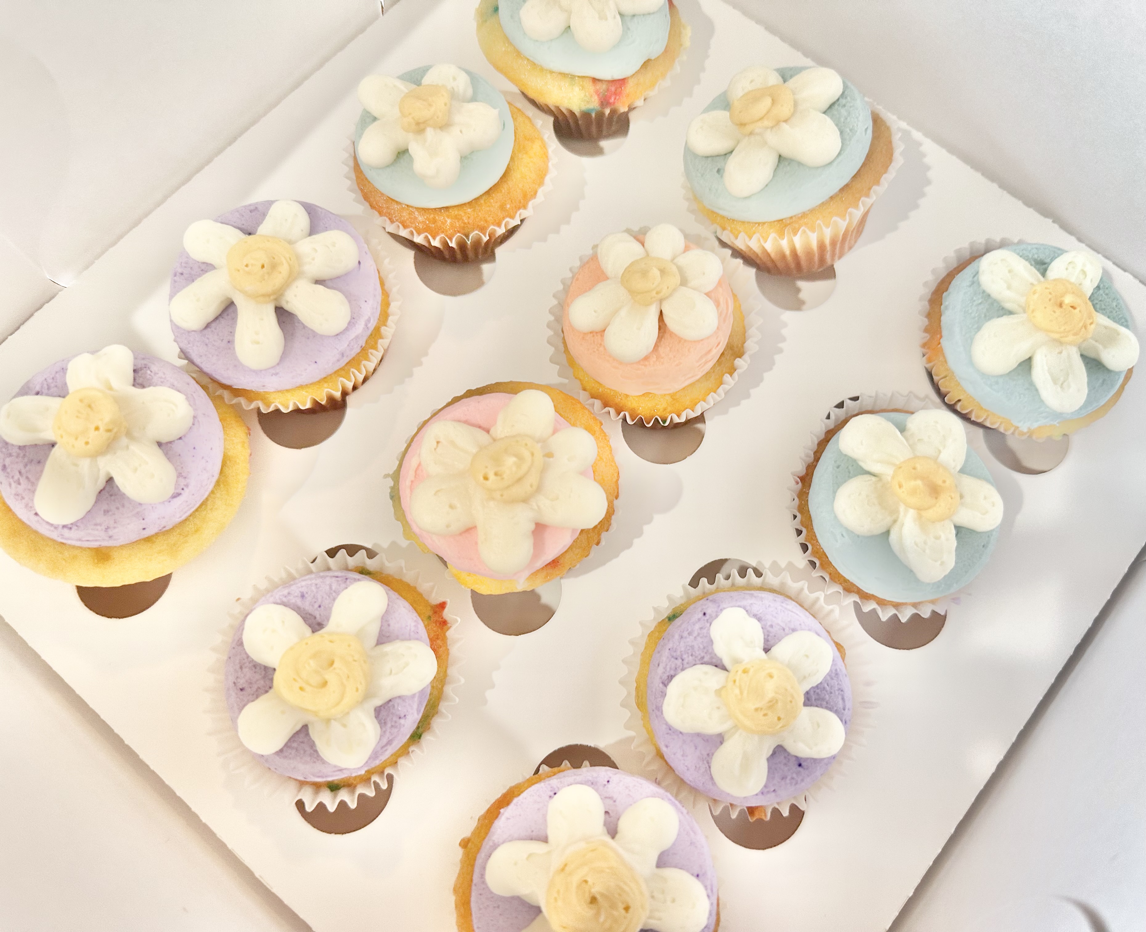 Mini Cupcakes